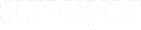 Surveyor